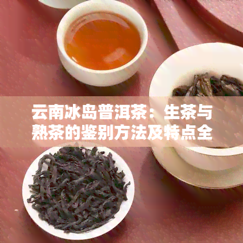 云南冰岛普洱茶：生茶与熟茶的鉴别方法及特点全解析