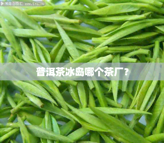 普洱茶冰岛哪个茶厂？