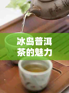 冰岛普洱茶的魅力：多一点了解它的品质、产地和独特风味