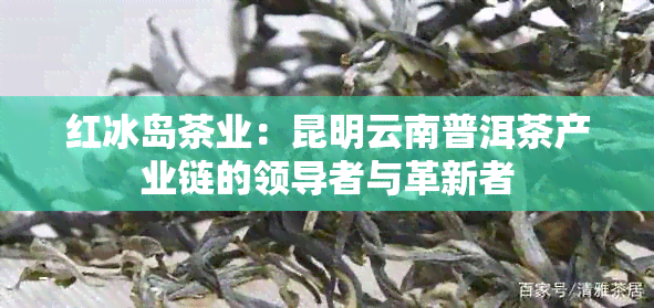 红冰岛茶业：昆明云南普洱茶产业链的领导者与革新者