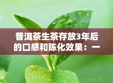 普洱茶生茶存放3年后的口感和陈化效果：一款值得品尝的陈年佳品