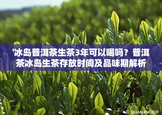 '冰岛普洱茶生茶3年可以喝吗？普洱茶冰岛生茶存放时间及品味期解析'