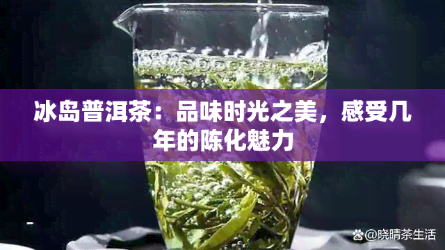 冰岛普洱茶：品味时光之美，感受几年的陈化魅力