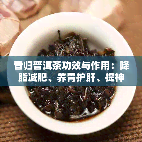 昔归普洱茶功效与作用：降脂减肥、养胃护肝、提神醒脑