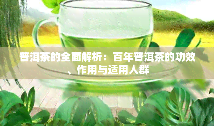 普洱茶的全面解析：百年普洱茶的功效、作用与适用人群