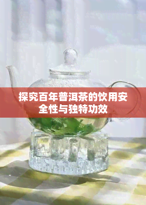 探究百年普洱茶的饮用安全性与独特功效