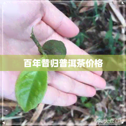 百年昔归普洱茶价格