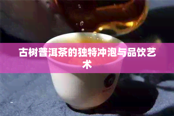 古树普洱茶的独特冲泡与品饮艺术