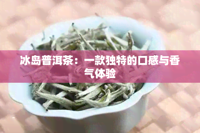 冰岛普洱茶：一款独特的口感与香气体验