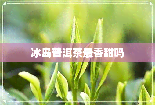 冰岛普洱茶最香甜吗