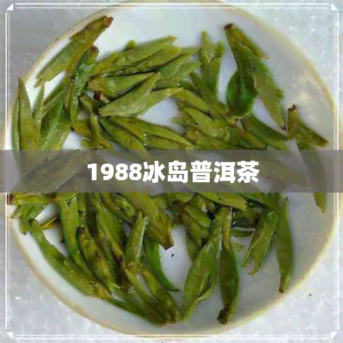 1988冰岛普洱茶