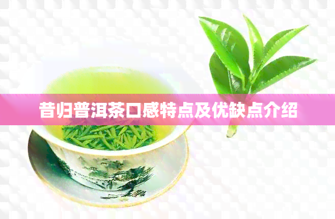 昔归普洱茶口感特点及优缺点介绍