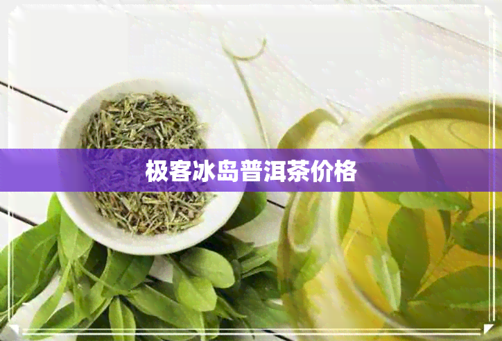 极客冰岛普洱茶价格