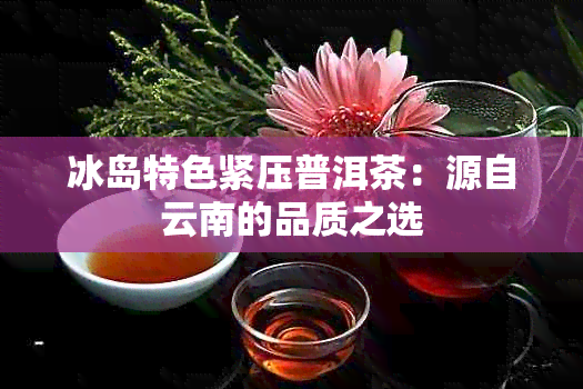 冰岛特色紧压普洱茶：源自云南的品质之选