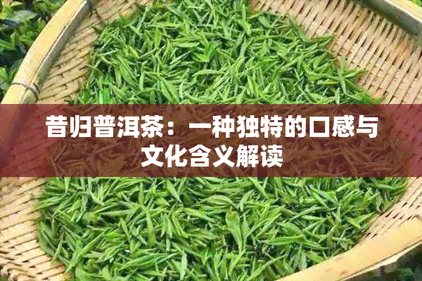 昔归普洱茶：一种独特的口感与文化含义解读