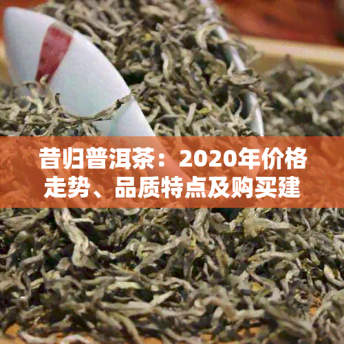 昔归普洱茶：2020年价格走势、品质特点及购买建议