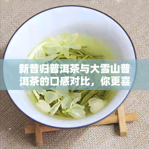 新昔归普洱茶与大雪山普洱茶的口感对比，你更喜欢哪一款？