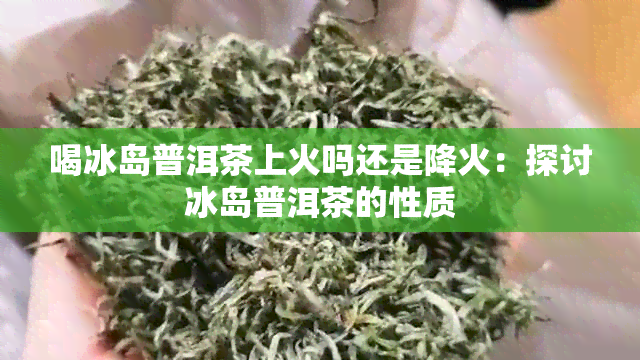 喝冰岛普洱茶上火吗还是降火：探讨冰岛普洱茶的性质