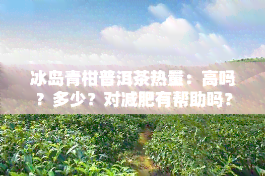 冰岛青柑普洱茶热量：高吗？多少？对减肥有帮助吗？