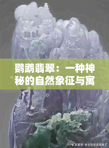 鹦鹉翡翠：一种神秘的自然象征与寓意解析