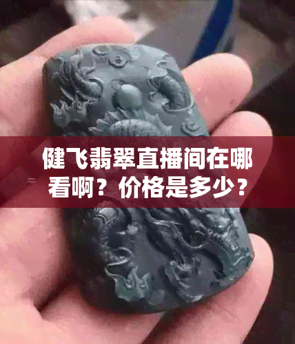 健飞翡翠直播间在哪看啊？价格是多少？