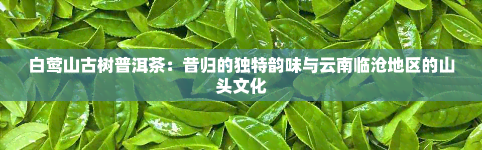 白莺山古树普洱茶：昔归的独特韵味与云南临沧地区的山头文化