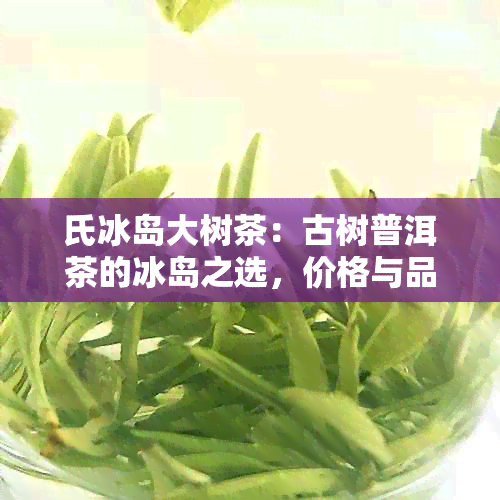 氏冰岛大树茶：古树普洱茶的冰岛之选，价格与品质并存