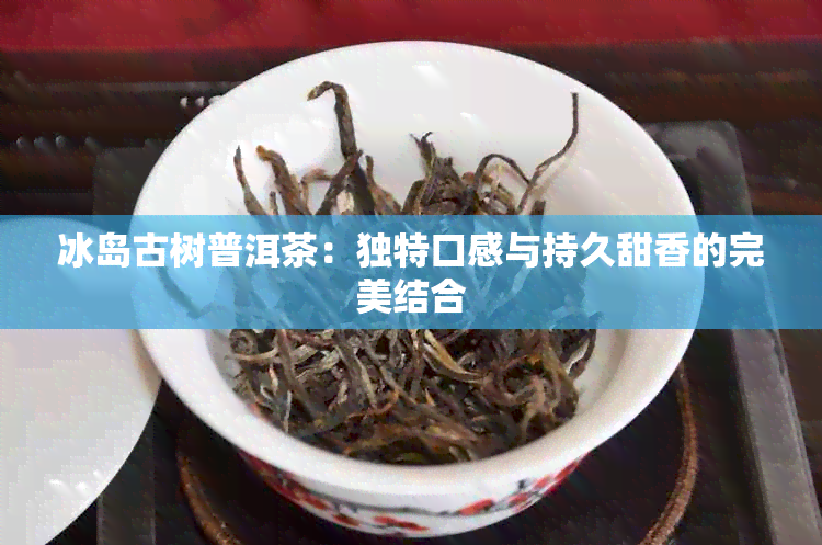 冰岛古树普洱茶：独特口感与持久甜香的完美结合