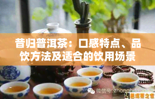 昔归普洱茶：口感特点、品饮方法及适合的饮用场景全面解析