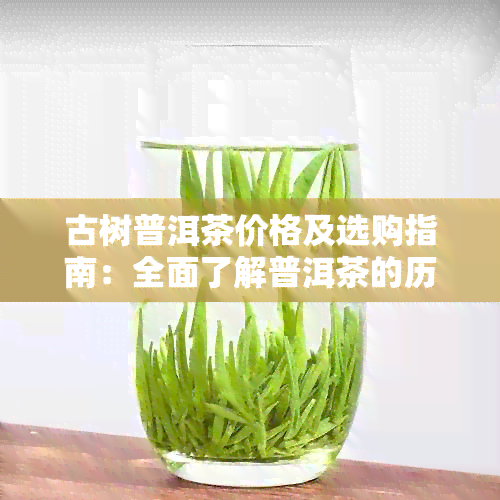 古树普洱茶价格及选购指南：全面了解普洱茶的历、品质与市场行情