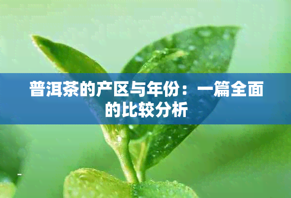 普洱茶的产区与年份：一篇全面的比较分析