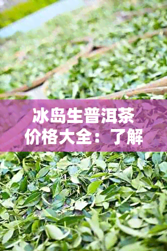 冰岛生普洱茶价格大全：了解市场行情与品质，轻松挑选最适合您的普洱茶