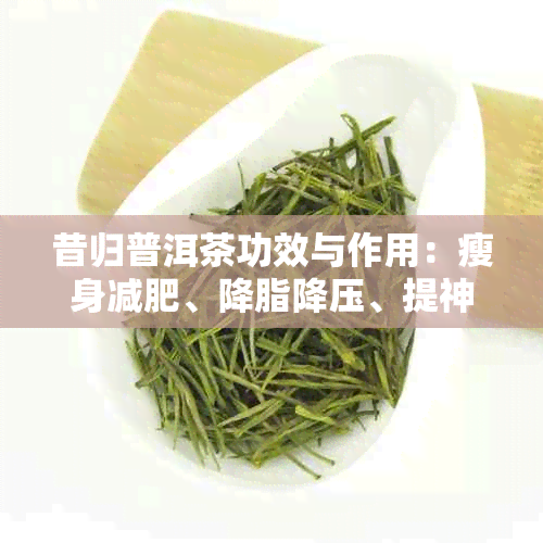 昔归普洱茶功效与作用：瘦身减肥、降脂降压、提神醒脑