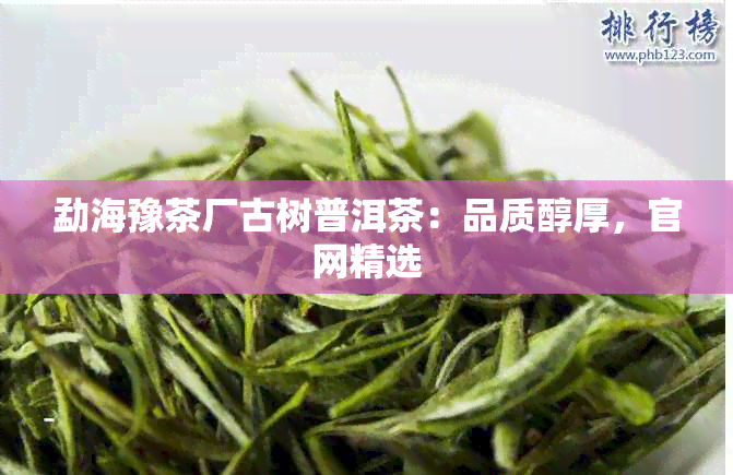 勐海豫茶厂古树普洱茶：品质醇厚，官网精选