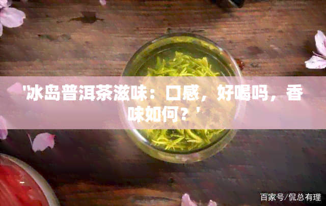 '冰岛普洱茶滋味：口感，好喝吗，香味如何？'