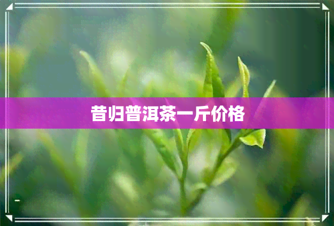 昔归普洱茶一斤价格