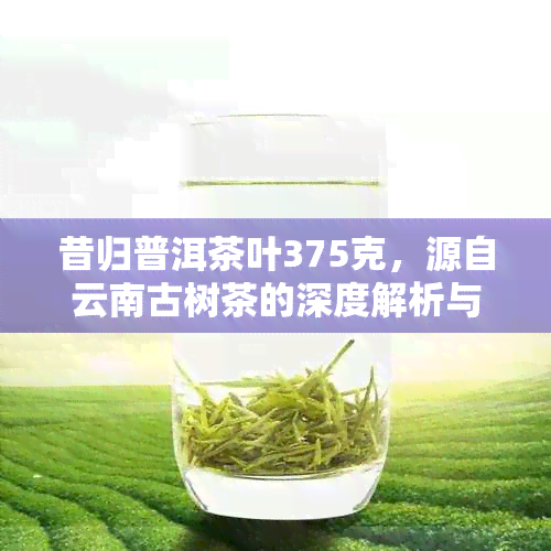 昔归普洱茶叶375克，源自云南古树茶的深度解析与评价