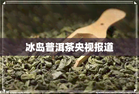 冰岛普洱茶央视报道