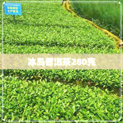 冰岛普洱茶280克