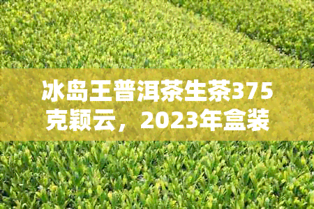 冰岛王普洱茶生茶375克颖云，2023年盒装口感价格简介