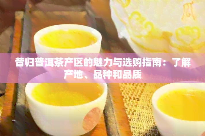 昔归普洱茶产区的魅力与选购指南：了解产地、品种和品质