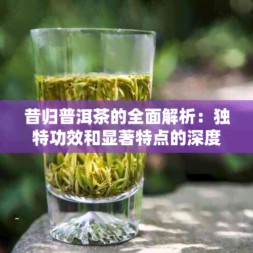 昔归普洱茶的全面解析：独特功效和显著特点的深度探索