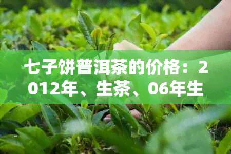 七子饼普洱茶的价格：2012年、生茶、06年生产价格表