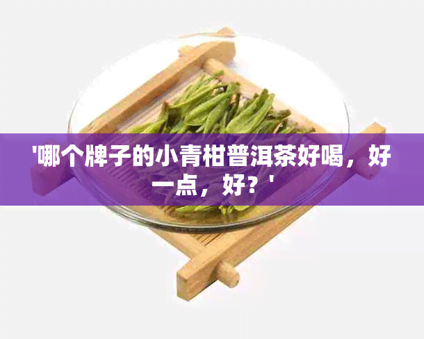 '哪个牌子的小青柑普洱茶好喝，好一点，好？'