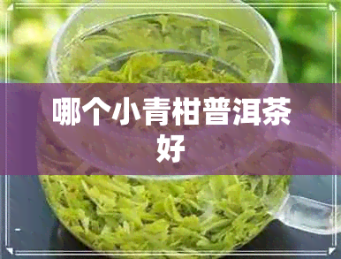 哪个小青柑普洱茶好