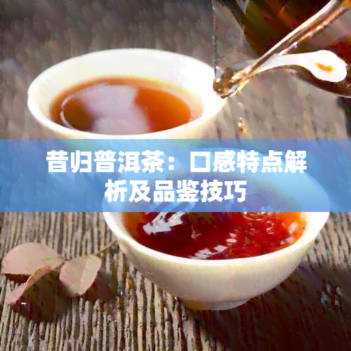 昔归普洱茶：口感特点解析及品鉴技巧