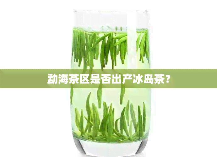 勐海茶区是否出产冰岛茶？