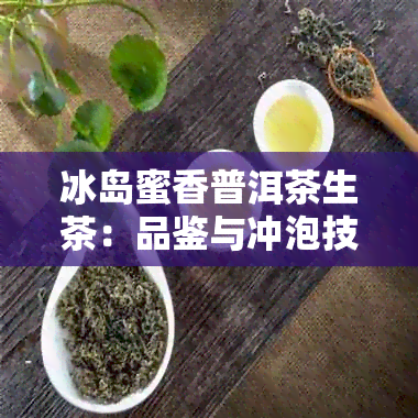 冰岛蜜香普洱茶生茶：品鉴与冲泡技巧，让你全面了解这款茶叶的魅力与口感