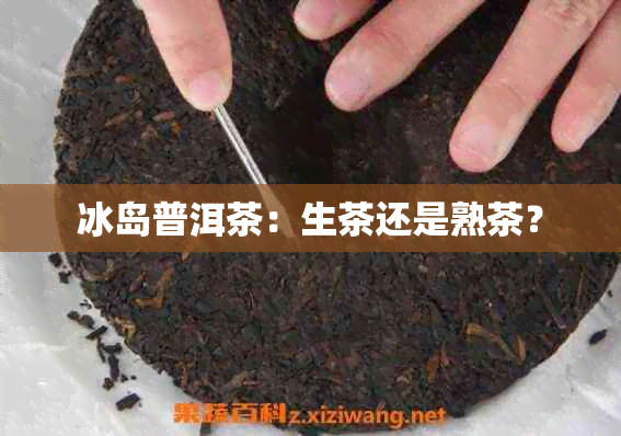 冰岛普洱茶：生茶还是熟茶？