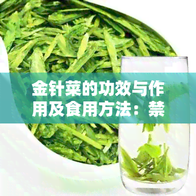 金针菜的功效与作用及食用方法：禁忌与注意事项